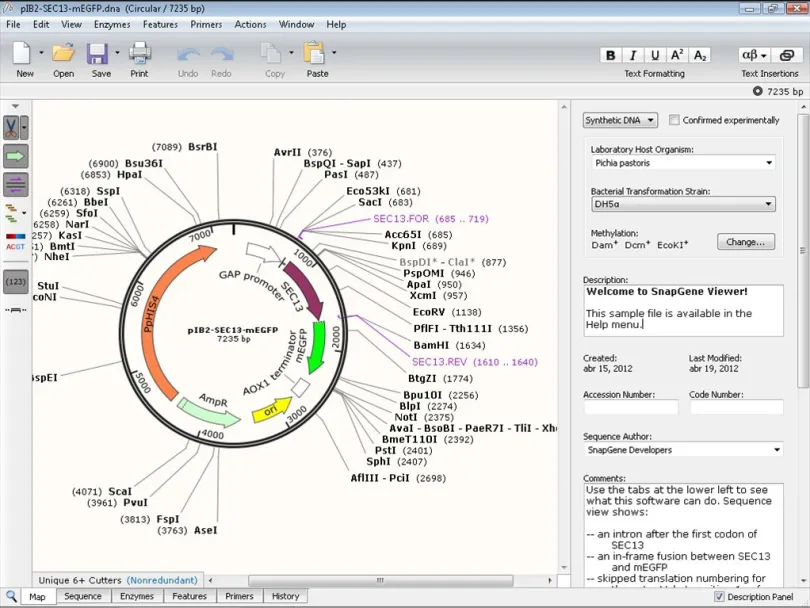 SnapGene Crack v6.1.2 + versão mais recente para download gratuito do Keygen